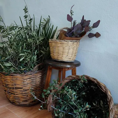 Apartment Lajas, *